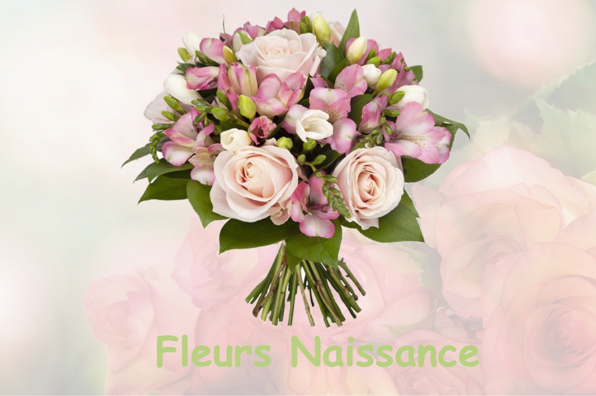fleurs naissance LE-GRAND-VILLAGE-PLAGE